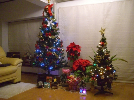 クリスマス 015.jpg